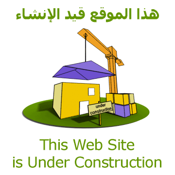 constuction web site and blog