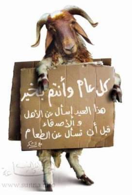 un site web pour : acheter des moutons