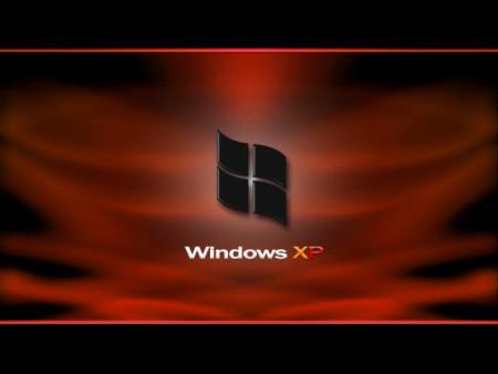 windows XP