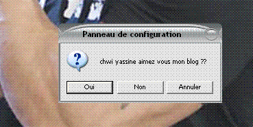 oui ou non ??