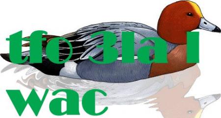 je cwi un rajawi et vous ????